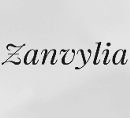 Zanvylia-Amazon Seller