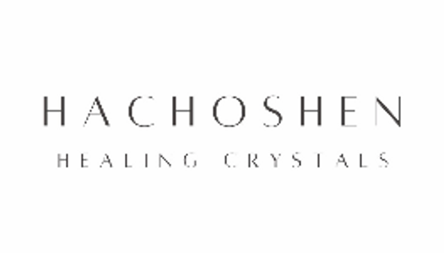 Hachoshen LLC