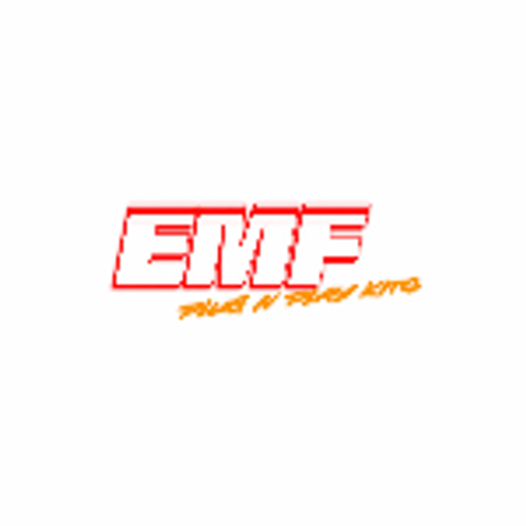 Electric Moto Family