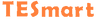 TESmart
