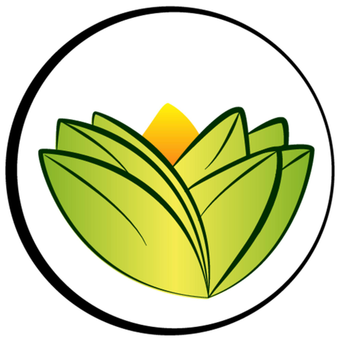 The Ayurveda Experience