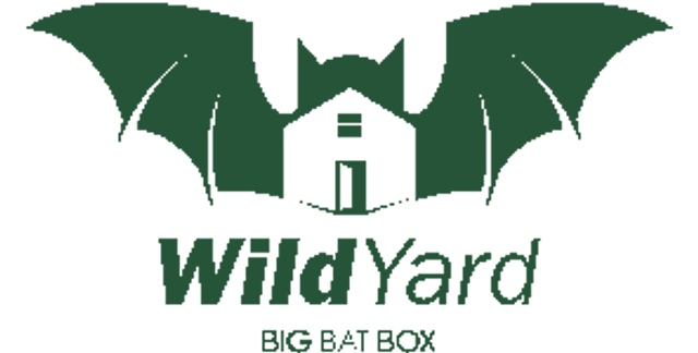 Big Bat Box