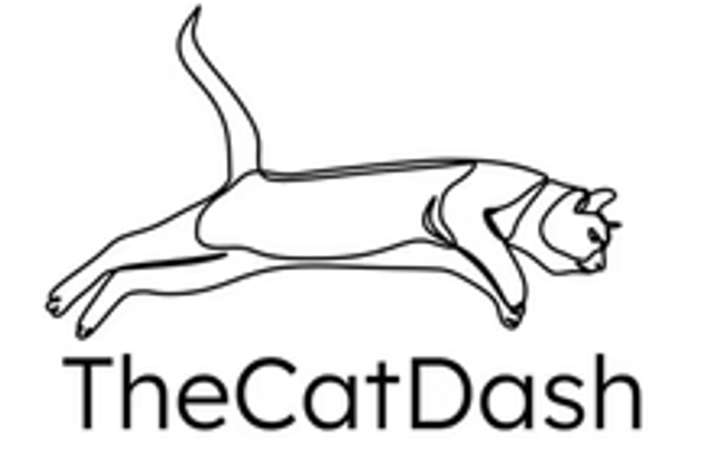 The Cat Dash