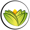 The Ayurveda Experience