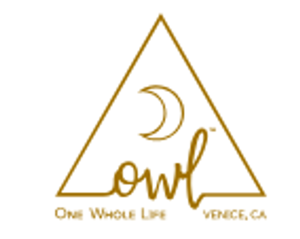 OWL Venice