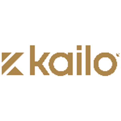 Kailo™ - Pain Relief Patch