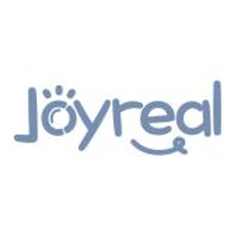 Joyrealtoys