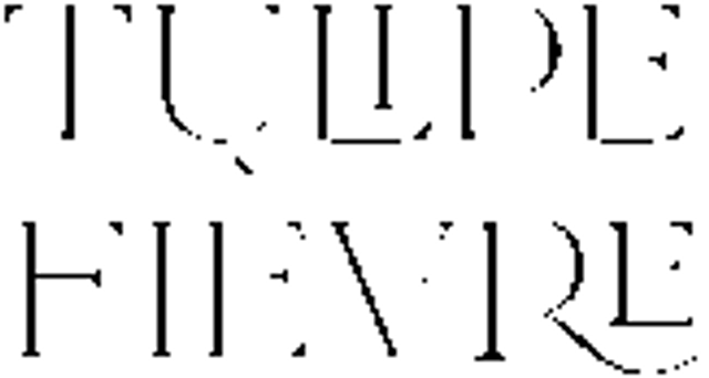 Tulipe Fievre