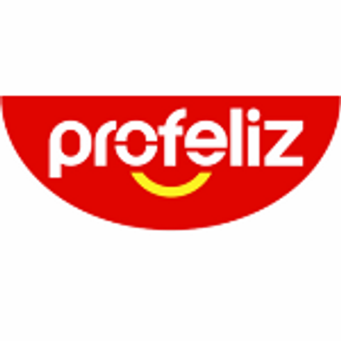 Profeliz Pool Supplies