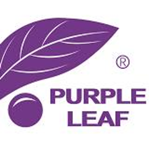 purpleleaf.it