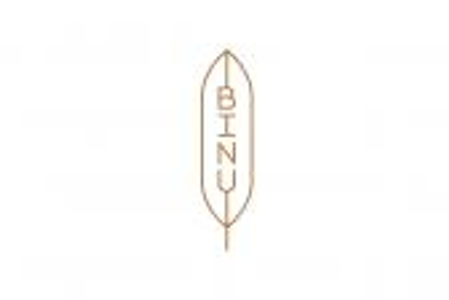 BINU-Beauty Natural Korean Cosmetics DE