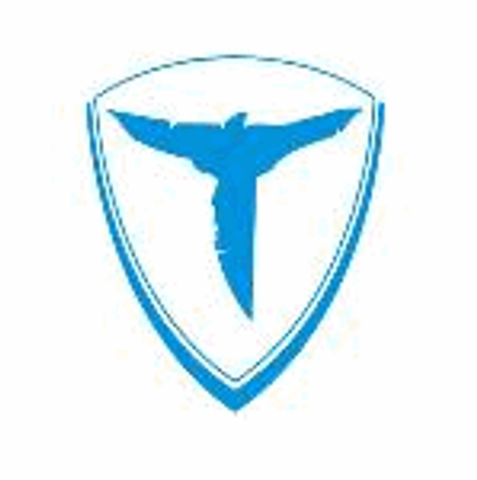 Totem - Amazon Seller