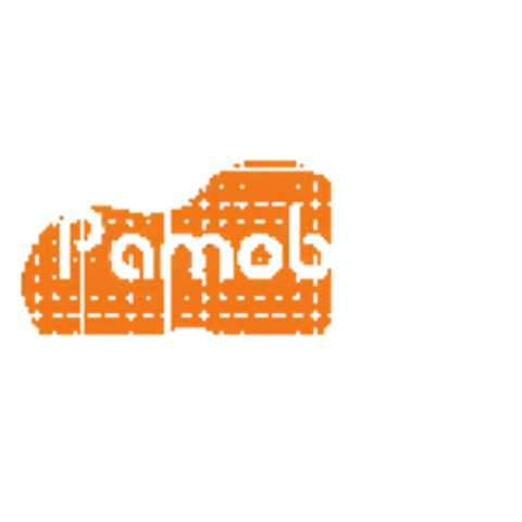 Pamo Babe - Amazon Seller - US