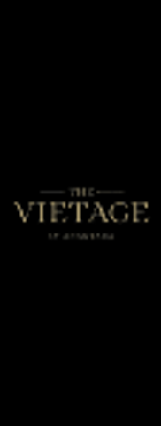 the vietage train