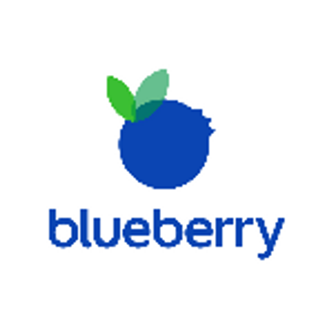 Blueberry Creative Studio Inc.