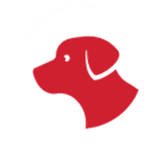 Reedog Europe